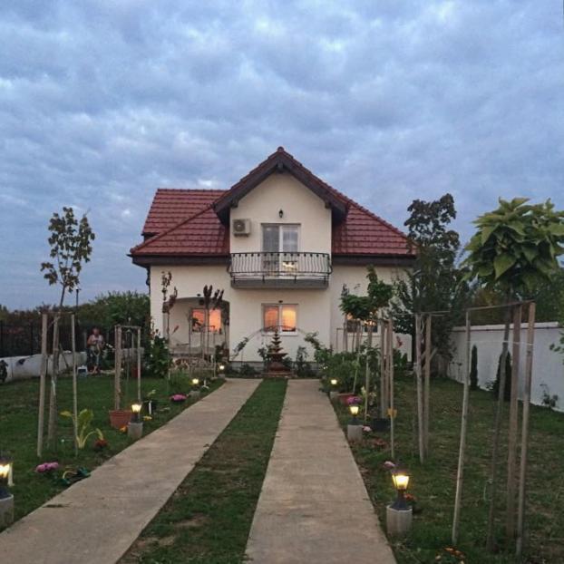 Hotel Blue Sky House Balotesti Exterior foto